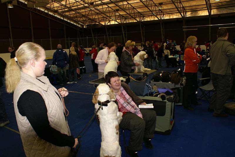 Lappeenranta_CACIB_Eddie_Tetu_Minttu