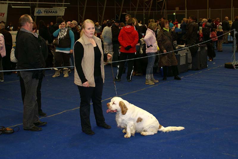 Lappeenranta_CACIB_Eddie_c