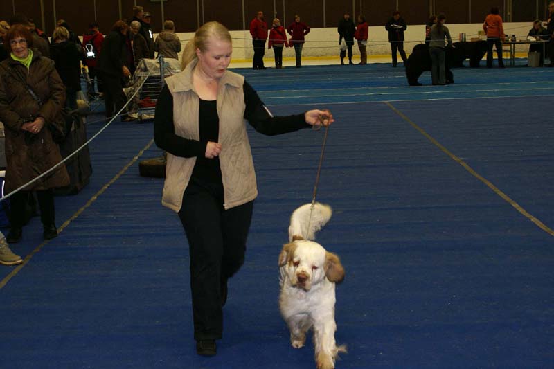 Lappeenranta_CACIB_Eddie_d