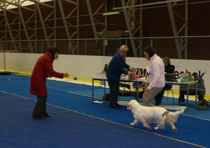 Lappeenranta_CACIB_Hilla