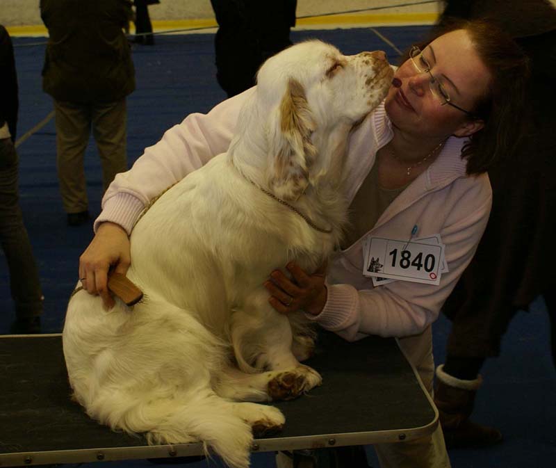 Lappeenranta_CACIB_Hilla_Ira