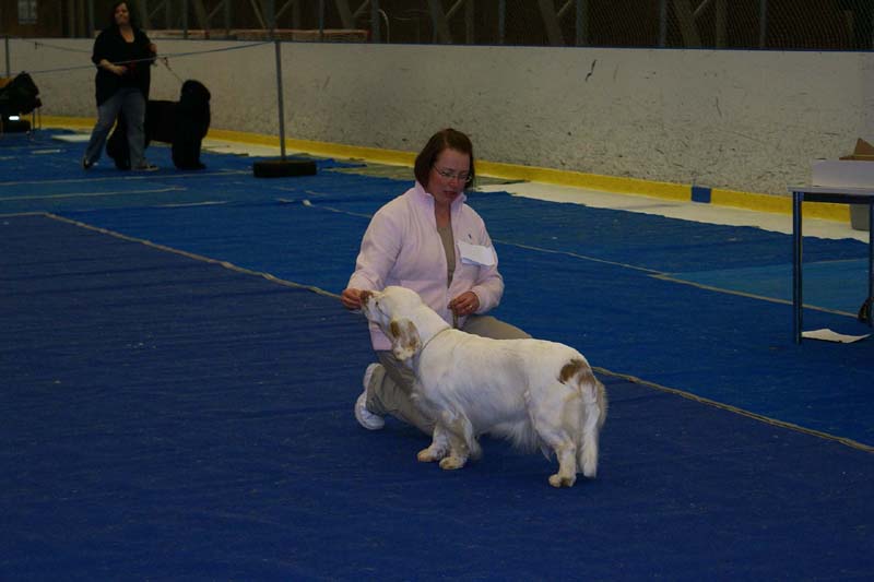 Lappeenranta_CACIB_Hilla_b