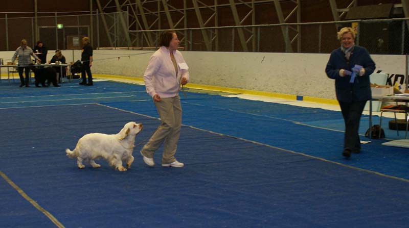 Lappeenranta_CACIB_Hilla_c