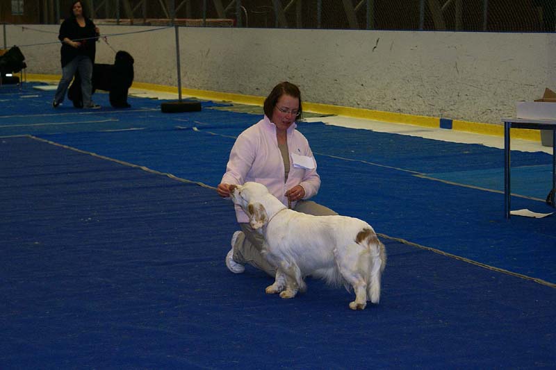 Lappeenranta_CACIB_Hilla_d