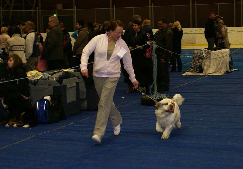 Lappeenranta_CACIB_Keke