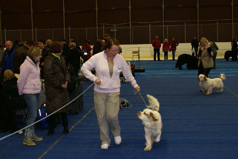 Lappeenranta_CACIB_Keke_Eddie