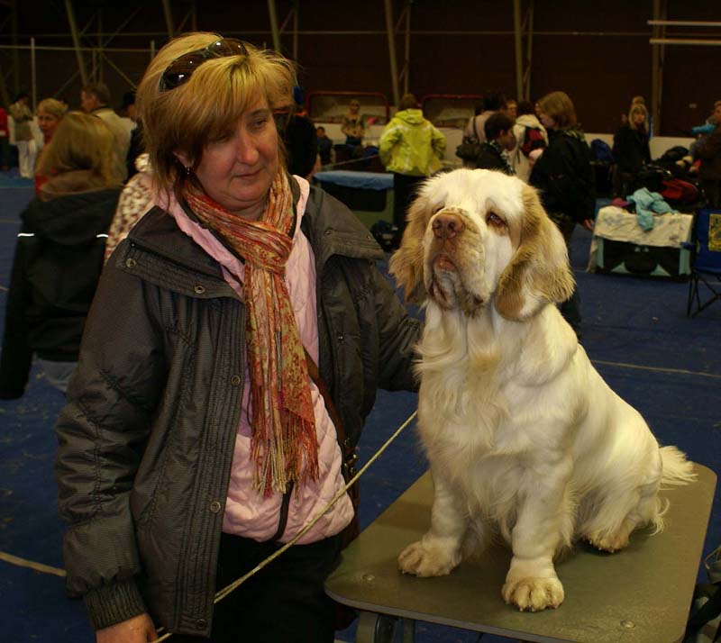 Lappeenranta_CACIB_Keke_Paula