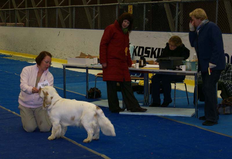 Lappeenranta_CACIB_Keke_b