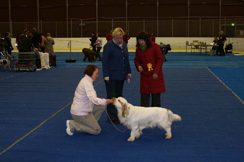 Lappeenranta_CACIB_Keke_c