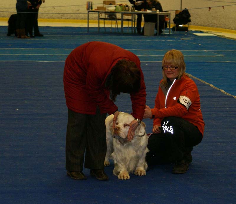 Lappeenranta_CACIB_Reno