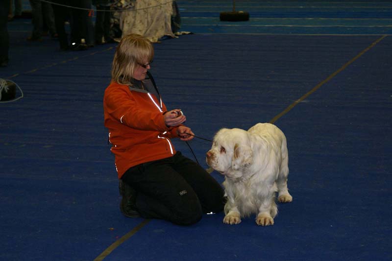 Lappeenranta_CACIB_Reno_c