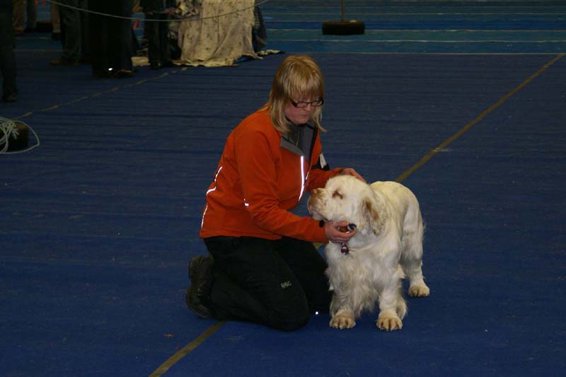 Lappeenranta_CACIB_Reno_d