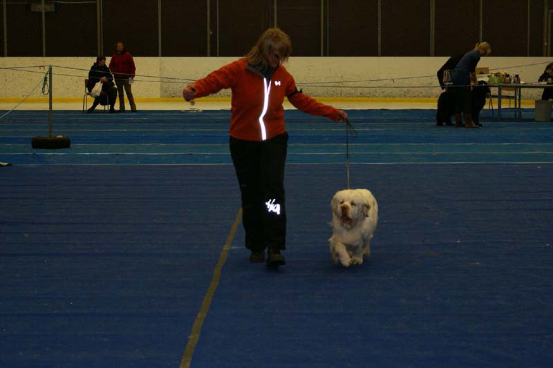 Lappeenranta_CACIB_Reno_f