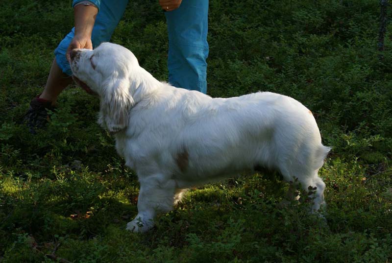 RoudtableKnightKids_meeting19Aug2009_Bono