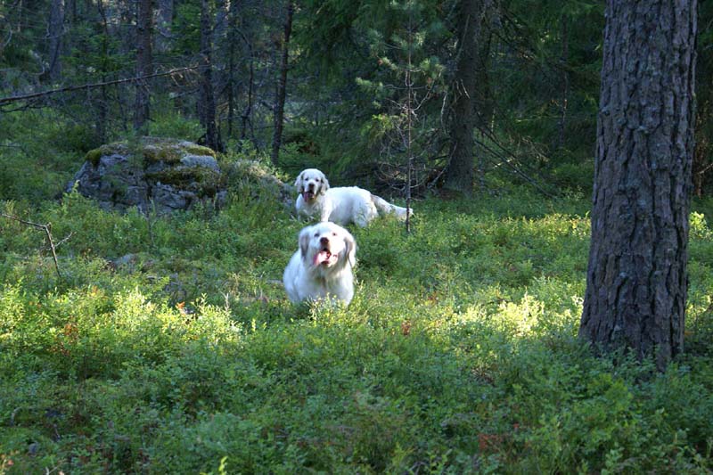 RoudtableKnightKids_meeting19Aug2009_Bono_Hilla