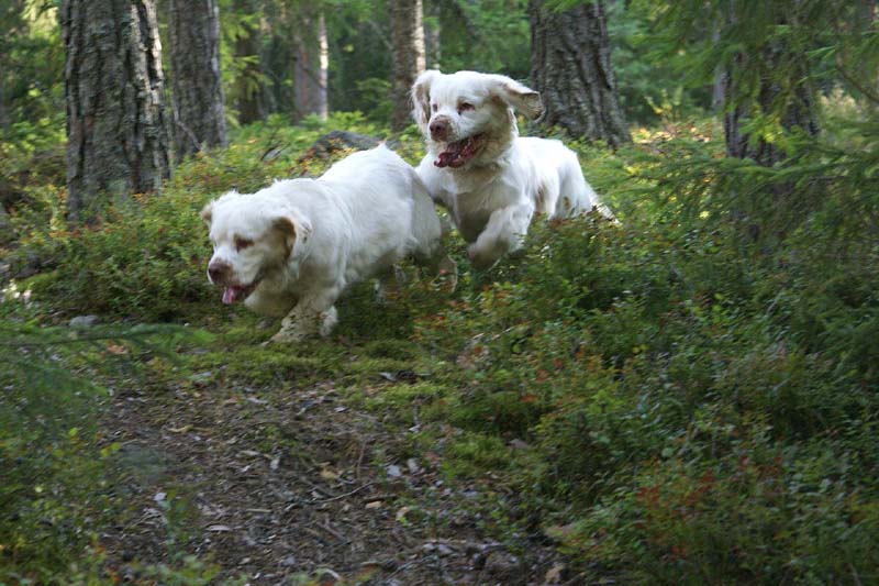 RoudtableKnightKids_meeting19Aug2009_Bono_Hilla_b