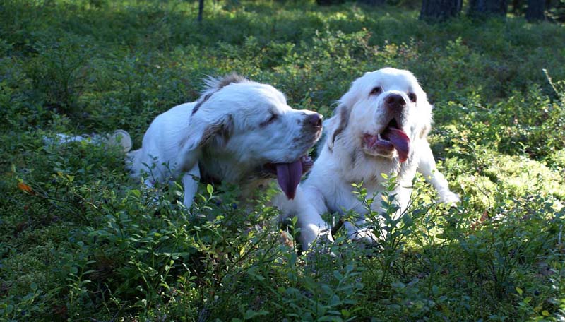 RoudtableKnightKids_meeting19Aug2009_Bono_Hilla_c