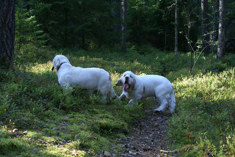 RoudtableKnightKids_meeting19Aug2009_Bono_Hilla_e