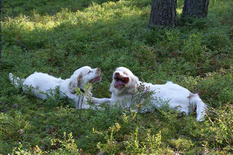 RoudtableKnightKids_meeting19Aug2009_Bono_Hilla_g