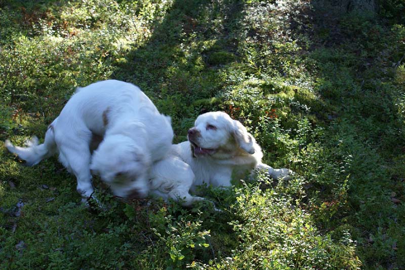 RoudtableKnightKids_meeting19Aug2009_Bono_Hilla_h