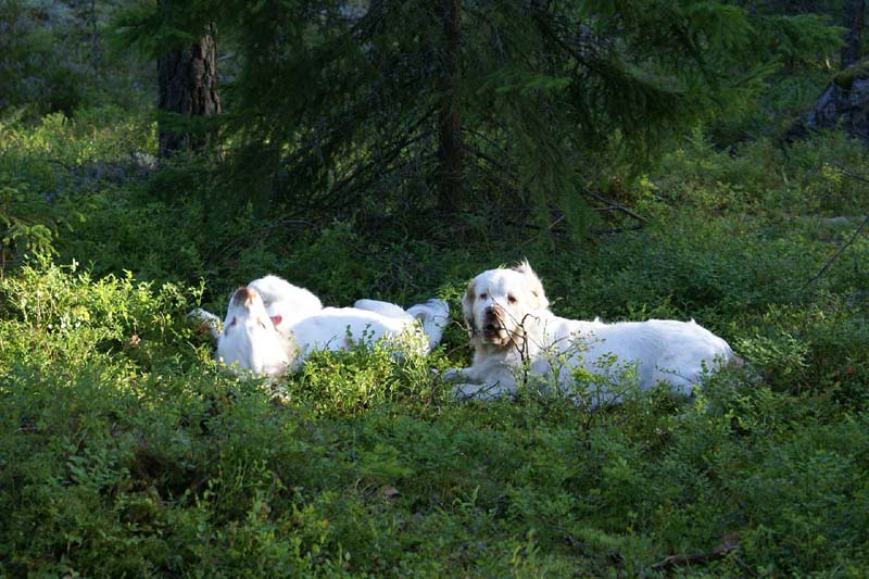 RoudtableKnightKids_meeting19Aug2009_Bono_Hilla_l