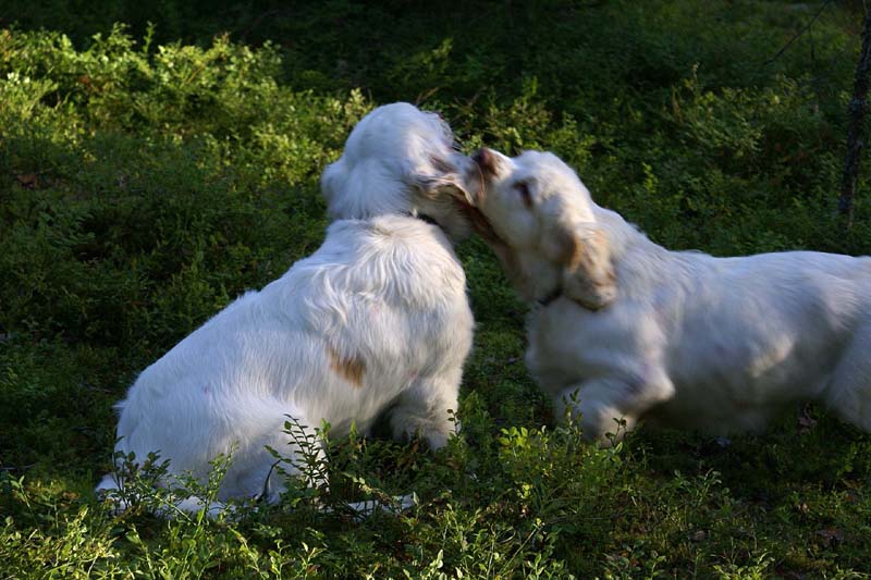 RoudtableKnightKids_meeting19Aug2009_Bono_Hilla_m