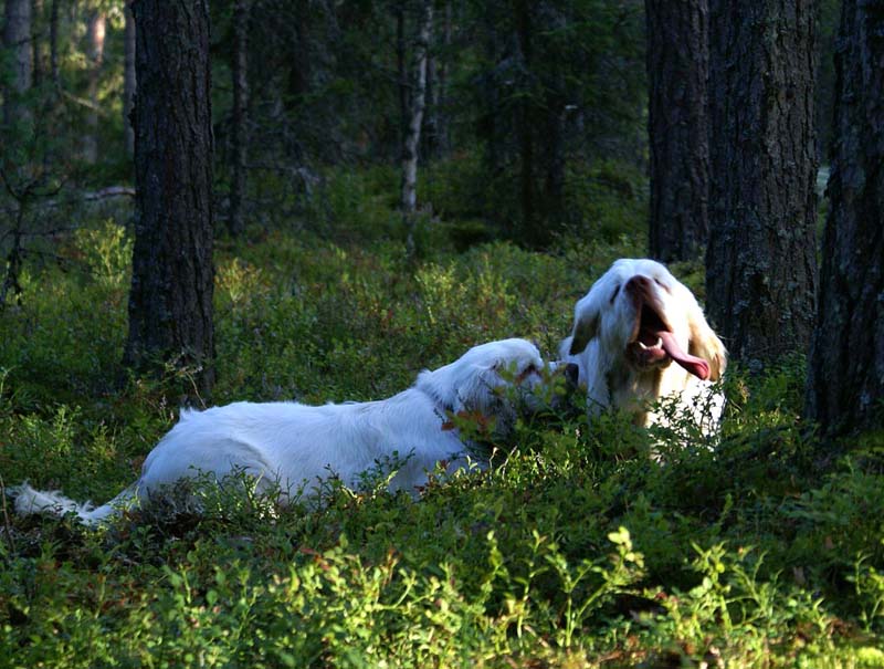 RoudtableKnightKids_meeting19Aug2009_Bono_Hilla_o