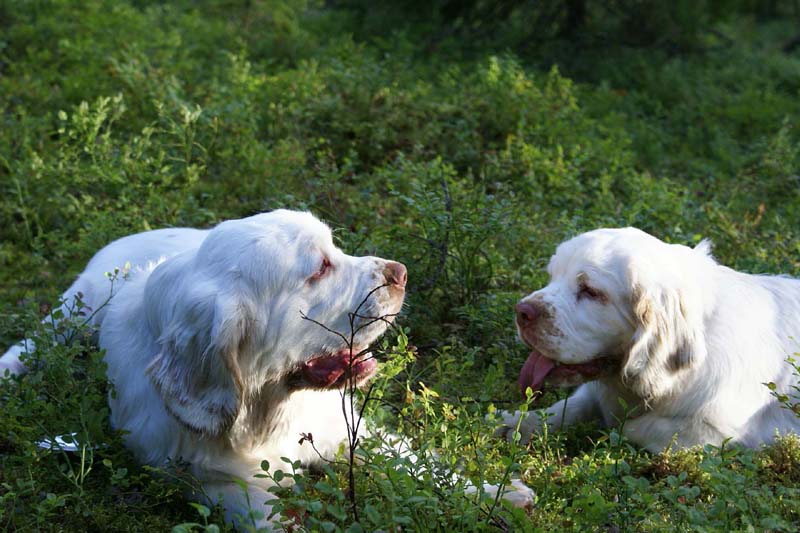 RoudtableKnightKids_meeting19Aug2009_Bono_Hilla_p