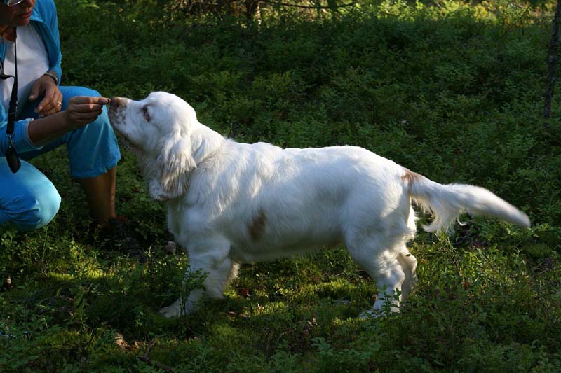 RoudtableKnightKids_meeting19Aug2009_Bono_b