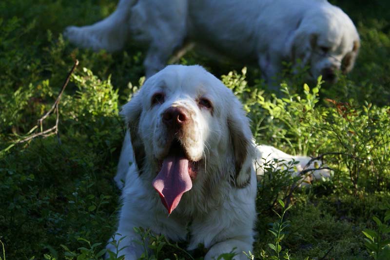RoudtableKnightKids_meeting19Aug2009_Bono_f