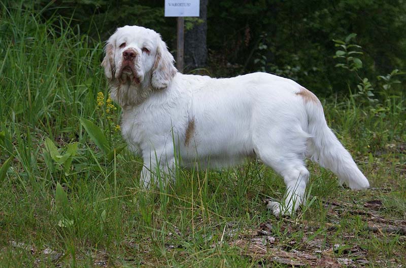 RoudtableKnightKids_meeting19Aug2009_Bono_i