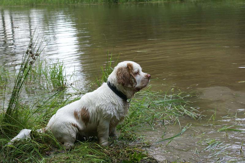 RoudtableKnightKids_meeting19Aug2009_Elimaki_Eddie