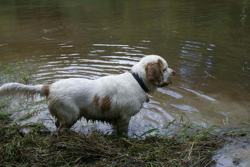 RoudtableKnightKids_meeting19Aug2009_Elimaki_Eddie_b