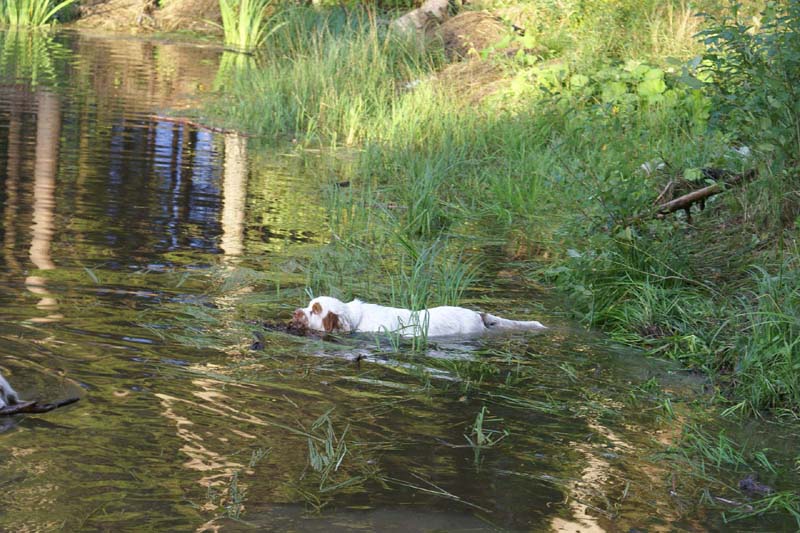 RoudtableKnightKids_meeting19Aug2009_Elimaki_Ella