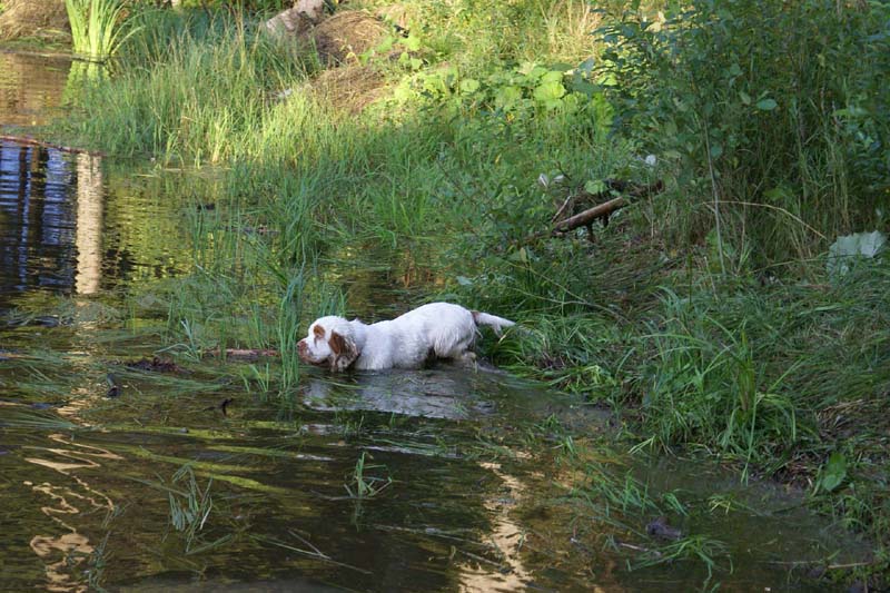 RoudtableKnightKids_meeting19Aug2009_Elimaki_Ella_b