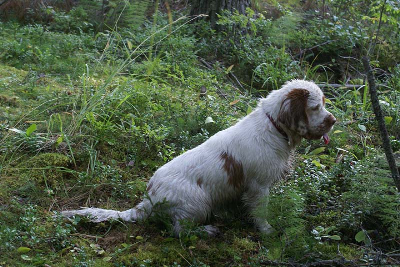 RoudtableKnightKids_meeting19Aug2009_Elimaki_Ella_c