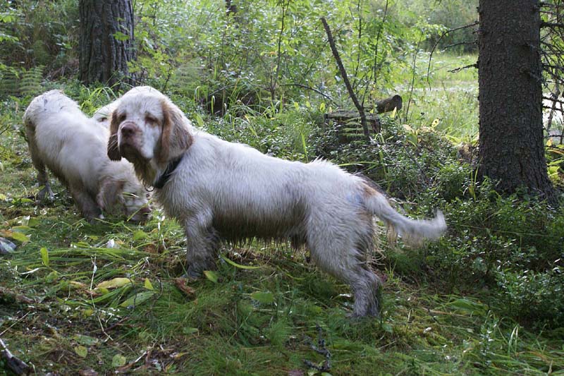 RoudtableKnightKids_meeting19Aug2009_Elimaki_Keke