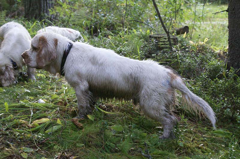 RoudtableKnightKids_meeting19Aug2009_Elimaki_Keke_b