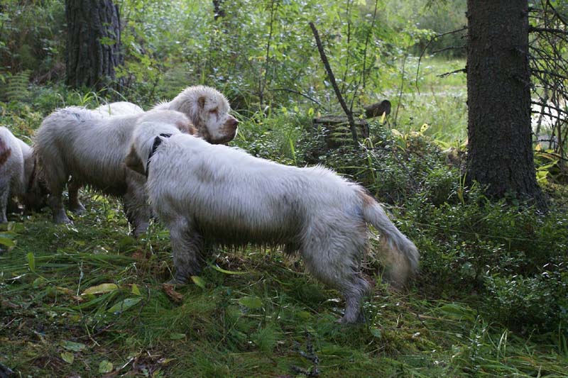 RoudtableKnightKids_meeting19Aug2009_Elimaki_Keke_c