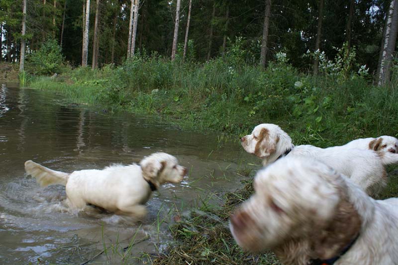 RoudtableKnightKids_meeting19Aug2009_Elimaki_b