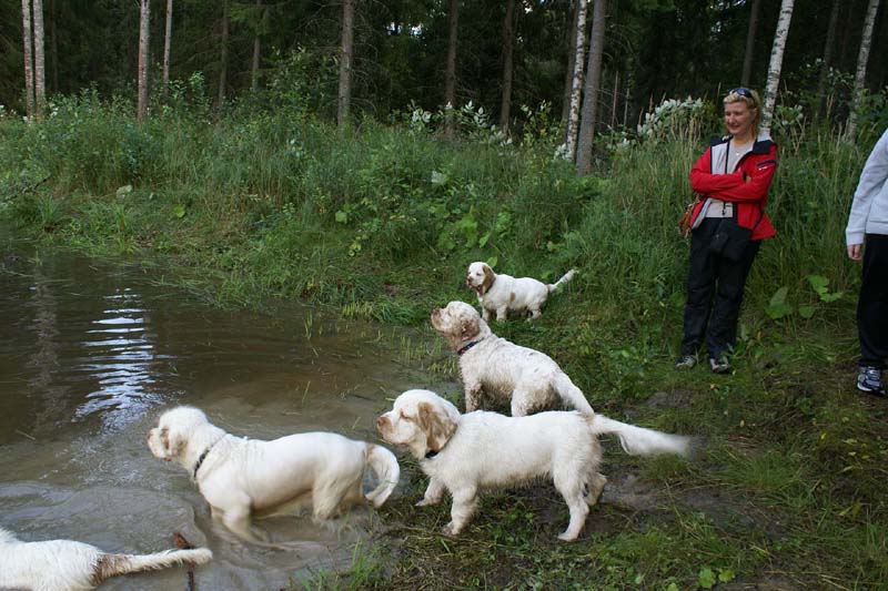 RoudtableKnightKids_meeting19Aug2009_Elimaki_c