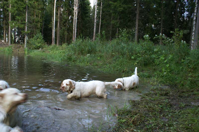 RoudtableKnightKids_meeting19Aug2009_Elimaki_d