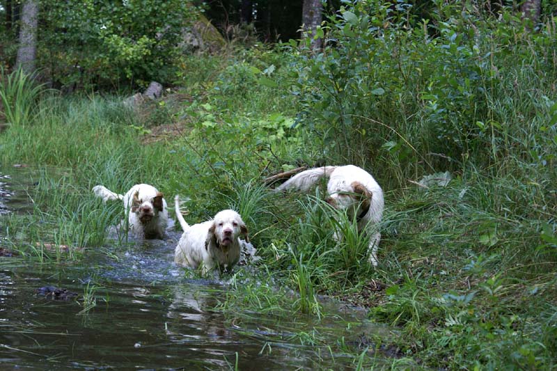 RoudtableKnightKids_meeting19Aug2009_Elimaki_f