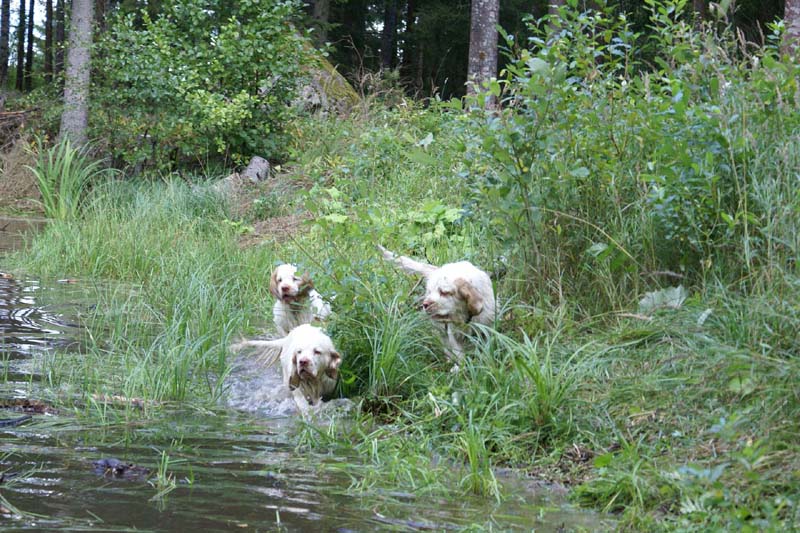 RoudtableKnightKids_meeting19Aug2009_Elimaki_g