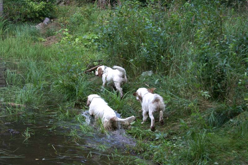 RoudtableKnightKids_meeting19Aug2009_Elimaki_h