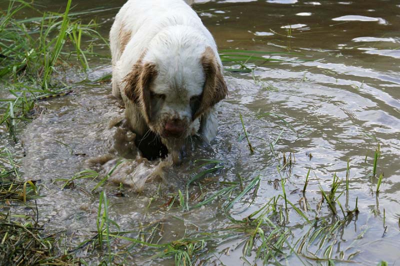 RoudtableKnightKids_meeting19Aug2009_Elimaki_k