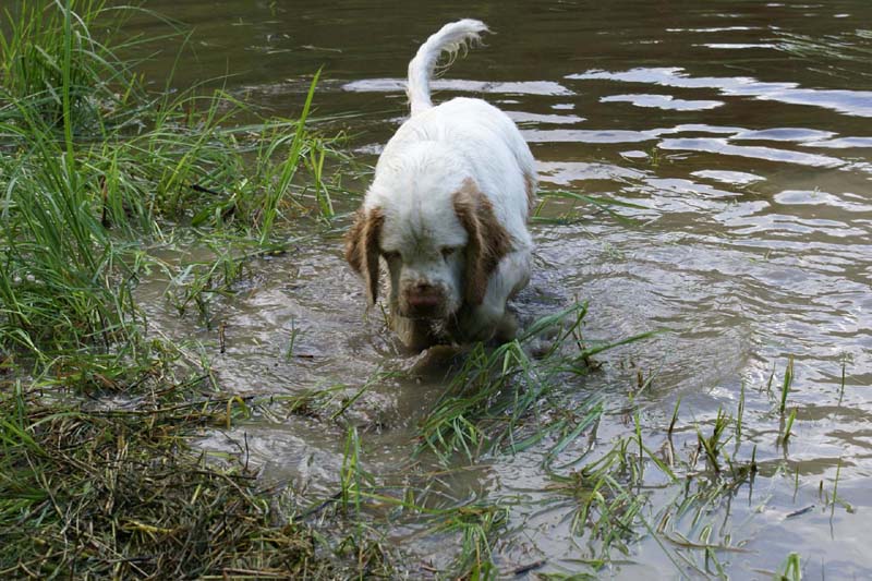 RoudtableKnightKids_meeting19Aug2009_Elimaki_l