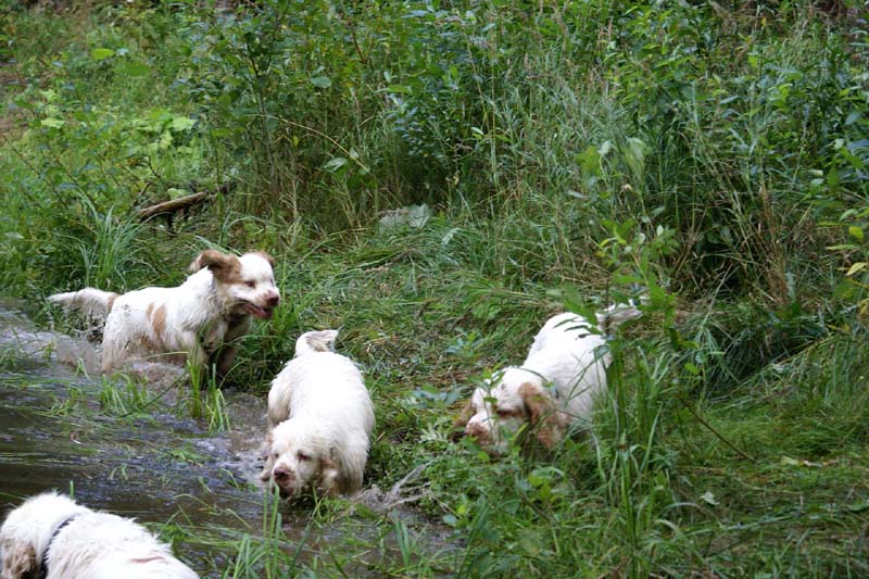 RoudtableKnightKids_meeting19Aug2009_Elimaki_m