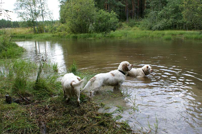 RoudtableKnightKids_meeting19Aug2009_Elimaki_o
