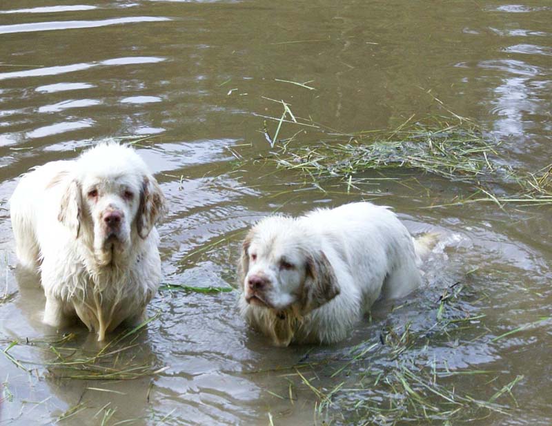 RoudtableKnightKids_meeting19Aug2009_Elimaki_oo